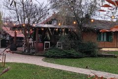 01-laser-ing-domjenak-2025-kurilovec