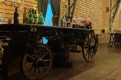 12-laser-ing-domjenak-2025-kurilovec